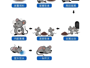 杀鼠剂